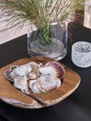 Nobel sofabord 100 x 100, H 47 cm