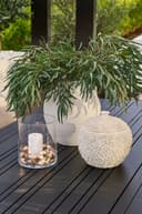 Moline krukke m/lokk