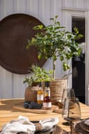 Nicolas Vahé olivenolje med basilikum