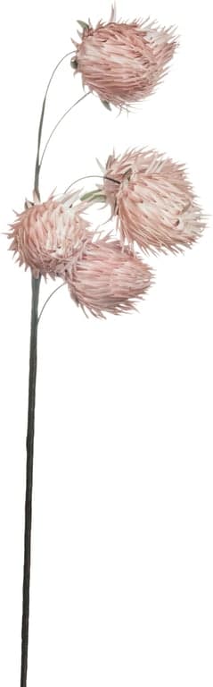 Bilde av Happia dekorblomst (Rosa)