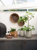 Lama Leuven treboks stor