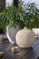 Moline krukke m/lokk