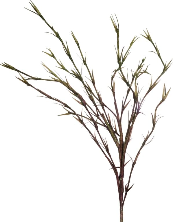 Bilde av Happia dekorgren (Grønn)